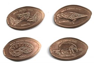4 Copper Elongated Pennies (cents) San Diego Zoo 