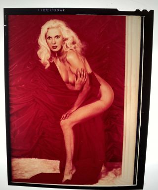 Stunning Nude Bunny Yeager Pin - Up Self Portrait 4x5 Negative.  From Yeager Estate