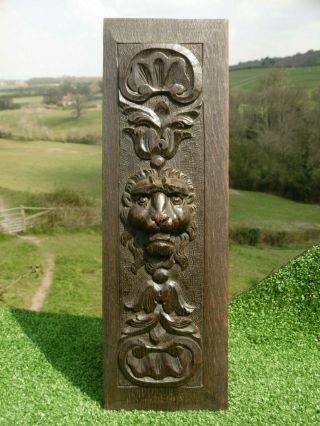 Antique 19thc Gothic Oak Carved Panel With Lion Head To Centre C.  1860 