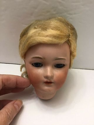 Antique German Simon Halbig Doll Head 1159 6 1/2 With Wig