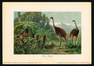 Hunting The Giant Moa Bird,  Zealand,  Tiere Der Urwelt,  Heinrich Harder 1900