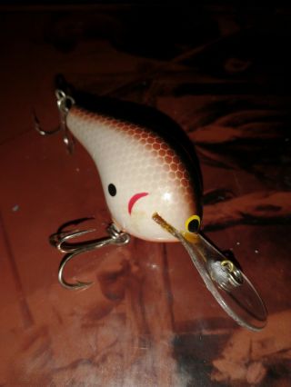Vintage Bagley Diving B 2 Lure Unmarked Lip All Brass In Awesome Color Ocw