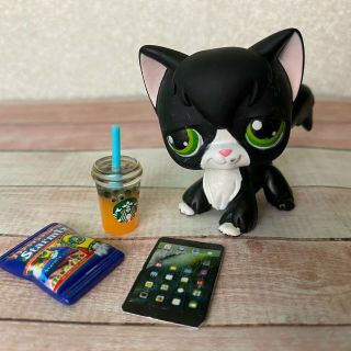 100 Authentic Littlest Pet Shop Lps 55 Black Angora Cat W Accessories