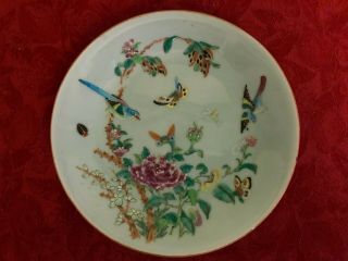Antique,  Chinese Tongzhi Nian Zhi Da Qing Fencai,  Celadon Famille Rose Plate (2)