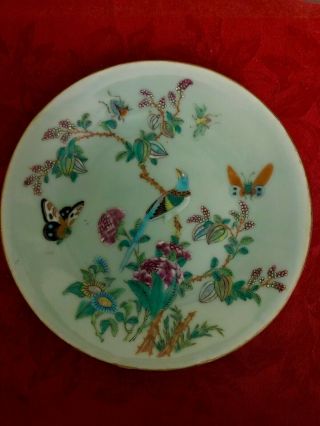 Antique,  Chinese Tongzhi Nian Zhi Da Qing Fencai,  Celadon Famille Rose Plate (4)