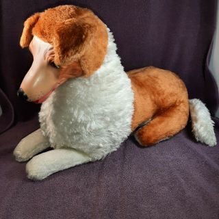 Vintage Stuffed Collie Dog W/ Rubber Face 19 " Long 26 " With Tail Circa 1950s