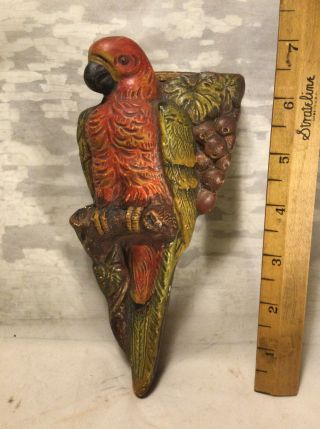 Antique Vintage 7” Ceramic Parrot W/grapes Wall Pocket - Made In Japan