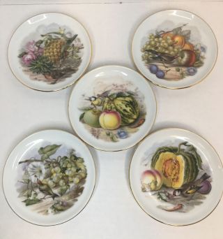 Jkw Bavaria Western Germany Vtg Set Of 5 Porcelain Birds Eating Fruit Coasters