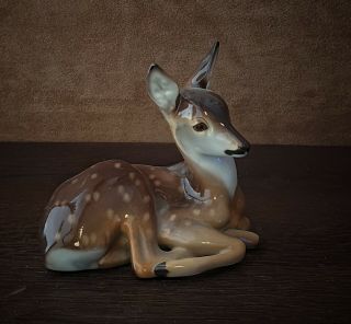 Antique Nymphenburg 1911 Porcelain Deer Fawn Figure Figurine Porzellan Rehkitz
