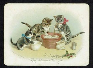 Tuck H Maguire Victorian Christmas Card Anthropomorphic Cats Making Xmas Pud