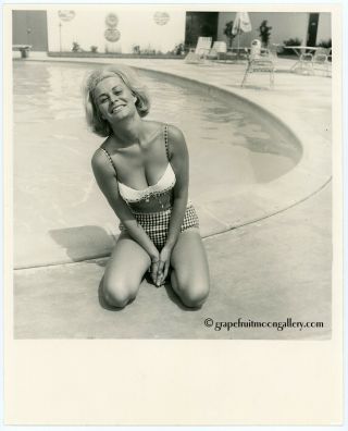 Bunny Yeager 1966 Photograph Pretty Bikini Model Marie Abell Poolside