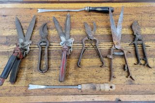Antique Tools Vintage Garden Plant Pruning Shears Snips Cutters Scissors ☆us/it
