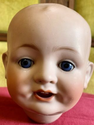 Antique German 13” Circumference Bisque Doll Head Fs&c Character Baby