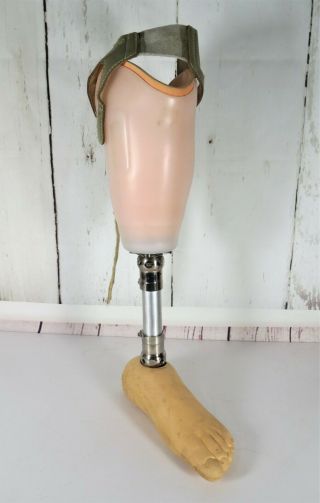 Vintage Left Artificial Prosthetic Leg W/ Leather Strap Marked (9mn 225 2226)