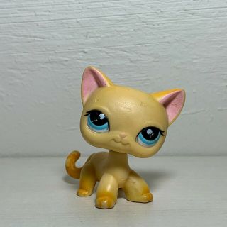 (hasbro: Littlest Pet Shop) Lps Shorthair Cat 339