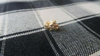 Antique 14k Yellow Gold Diamond Nugget Tie Tack Pin 1.  2cm 1.  18g