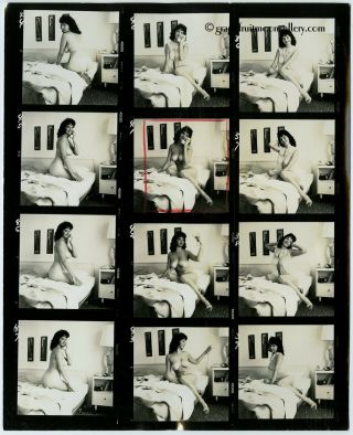 1960 Bunny Yeager Contact Sheet Photo 12 Frames Voluptuous Betty Young Boudoir