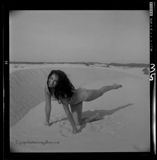 Bunny Yeager 1960s Pin - up Camera Negative Nude Laura Taylor Padre Island Texas 2