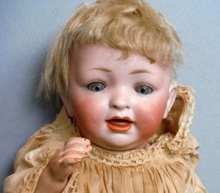 Antique Germany Hertel Schwab Baby Doll Bisque Head & Composition 152 12 " P120