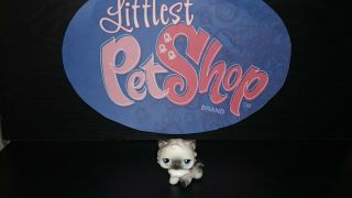 Authentic Lps Persian Cat 60,  Littlest Pet Shop Black And White Cat