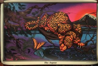 Vintage 1972 The Jaguar Psychedelic Blacklight Poster Aa Sales - 11x17 Near
