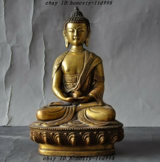 8 " Old Tibet Buddhism Bronze Gilt Sakyamuni Shakyamuni Medicine Buddha Statue