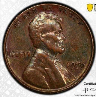 1955 - P Lincoln Cent Pcgs Xf Detail 1c Double Die Obverse Ddo Rare Error Toned