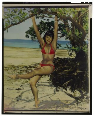 Bunny Yeager Estate Pin - Up Color Proof Transparency Bettie Page Crandon Park Nr