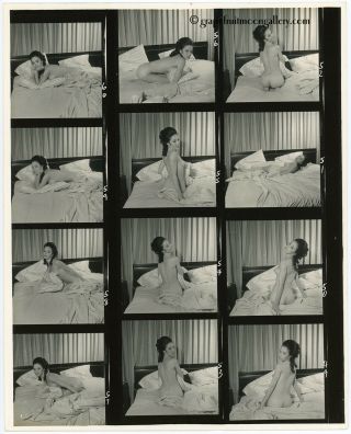 1968 Bunny Yeager Contact Sheet Photo 12 Frames Suzanne Moran Boudoir Shoot