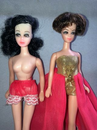 Vintage Pippa Topper Dawn Melanie Dinah Angie?? Dolls Pink Gold Htf Rio Dress