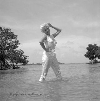 Bunny Yeager Black & White Camera Negative Figure Model Lisa Winters