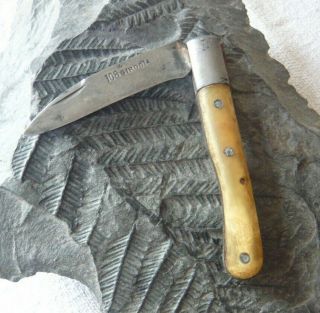 Antique Pocket Knife Handle 108 Girodias Couteau Pliant Manche Naturel
