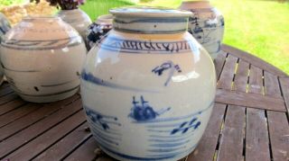 Classic late 18th early 19th Century Chinese Ginger Jar w/Lid 3