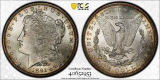 Avc - 1891 - S Morgan Dollar Pcgs Ms64,
