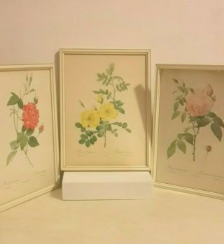 3 P.  J.  Redoute Pinx Flowers Vintage 50s Framed Art Prints Roses Pink Red Yellow