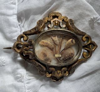 Antique Victorian Mourning Brooch,  Prince Of Wales Feathers Hairwork