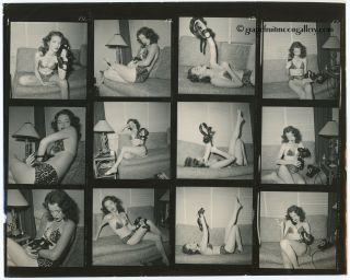 Fine 1954 Bunny Yeager Pin - Up Contact Sheet 12 Frames Carolyn Lee With Her Snake