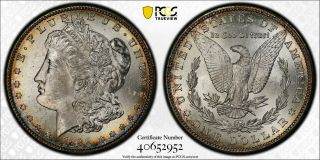 Avc - 1889 - S Morgan Dollar Pcgs Ms63 - Nicely Toned