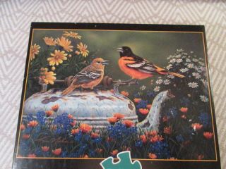 Buffalo Puzzle 300 Pc Large Tea Time W/ Birds Kim Norlien