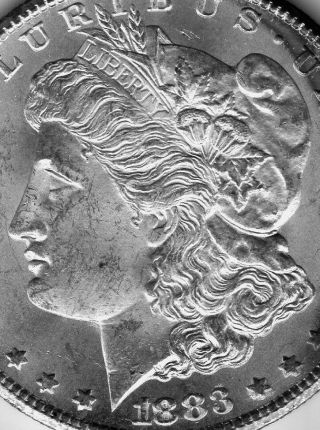 1883 CC Morgan Silver Dollar Rare Key Date Carson City C507 3