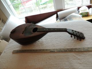 Vintage Antique Mandolin,  Lute,  Need Help Identifying.  Curved Back