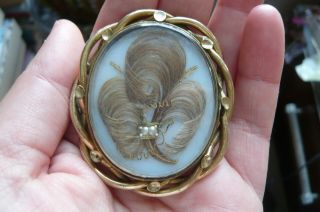 Victorian Prince Of Wales Feathers,  Seed Pearl And Gilt Metal Mourning Brooch