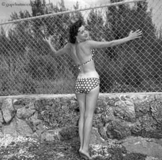Bunny Yeager 1954 Pin - Up Camera Negative Bathing Beauty Bikini Marcella Hanson