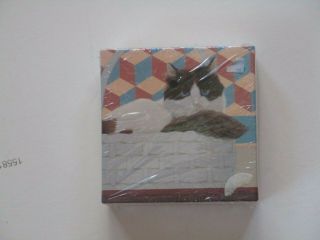 Complete  70 Piece Vintage Springbok Mini Puzzle.  Cat