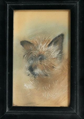 Fine Antique Pastel Portrait Of A Terrier Dog