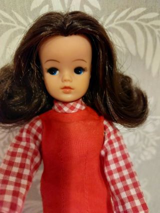 Vintage Sindy Doll By Pedigree