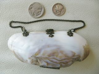 Antique Victorian Red Interior Old World Clasp Hinge Sea Shell Purse 1900s 7