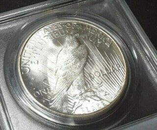 1925 - S Peace Silver Dollar PCGS MS63 4