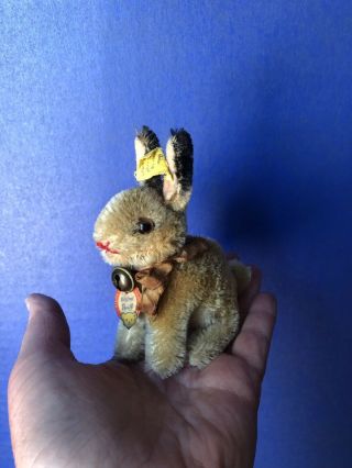Vintage Antique Steiff Bunny,  All Ids And Ability To Turn Head.