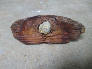 Antique Civil War Dug Bullet In Wood Relic 5,  " Long